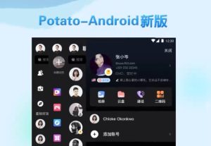 如何在 Potato 创建群聊和超级群组——从零搭建万人社群的完整指南？
